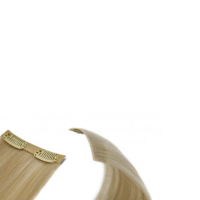 EXTENSIONS CLIP