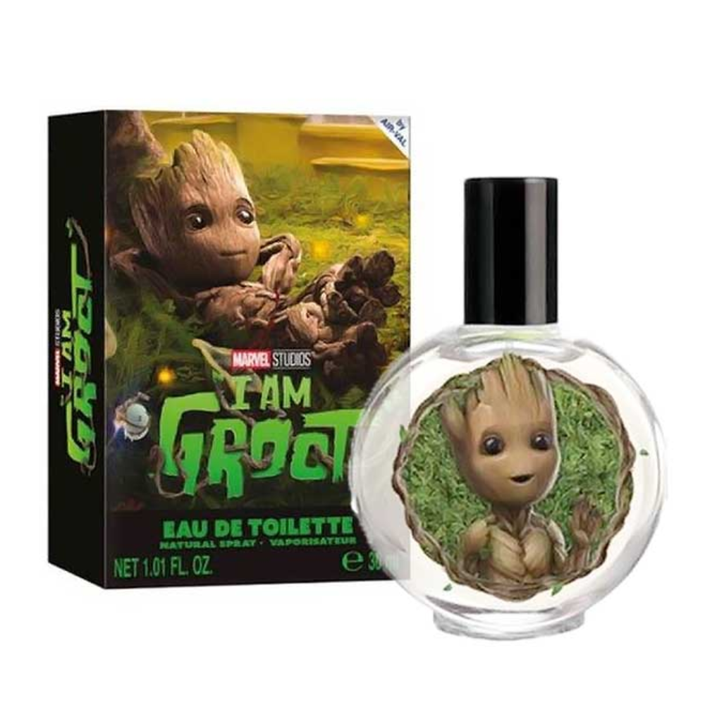AIR-VAL GROOT EDT 30ML 009260